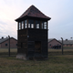Illustration for article titled The Auschwitz Memorial Would Like TikTokers to Stop Roleplaying Holocaust Victims, Please